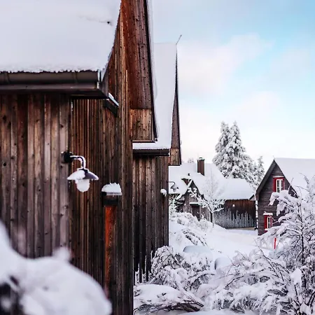 Doppelhaushaelften, * Torfhaus